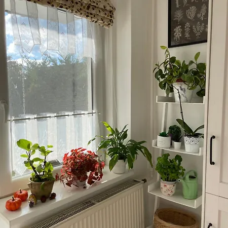 Bartalos Haz Apartment *